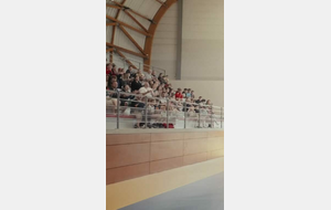 handball non la violence